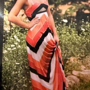 Bebe Elegant Multicolor Maxi Dress